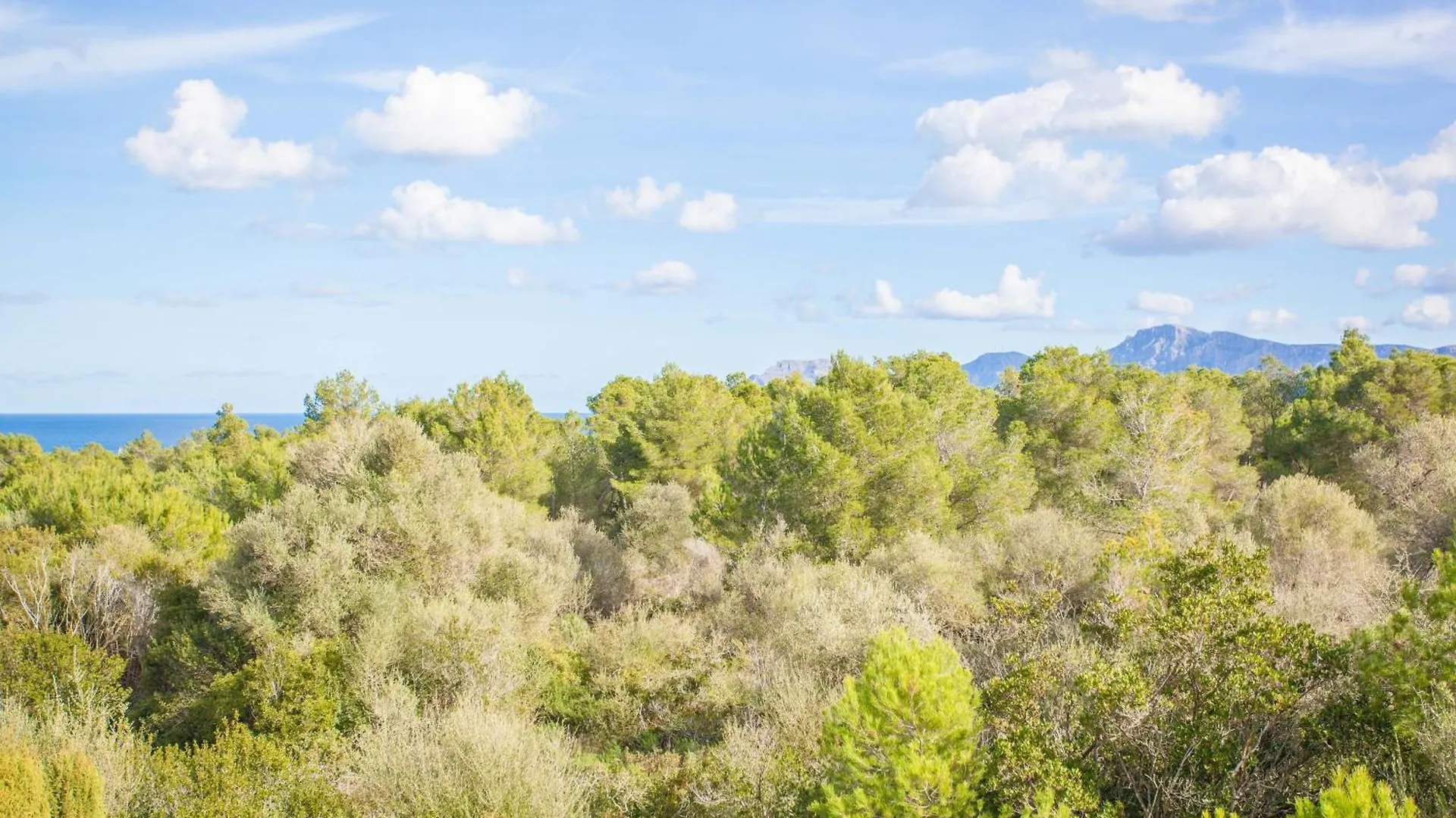 Tatil Evi Rudy Villa Son Serra de Marina